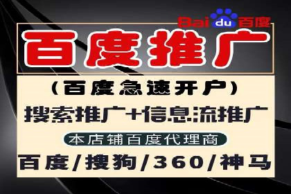 成功案例解析：SEM竞价员策略